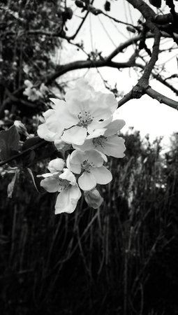 IMAG0225_1.jpg