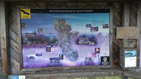 IMAG0314.jpg