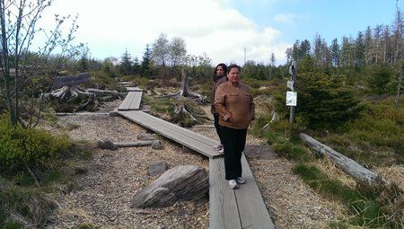 IMAG0317.jpg