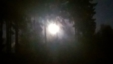 IMAG0255.jpg