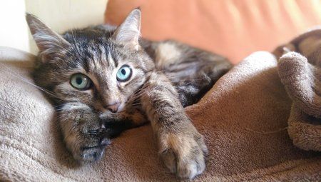 IMAG0019_1.jpg