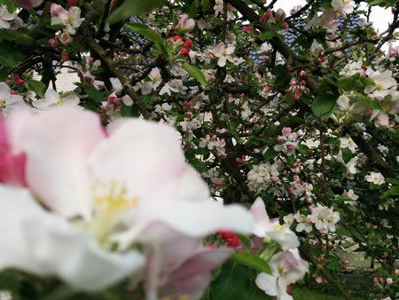 2014-04-12 17.07.27.jpg