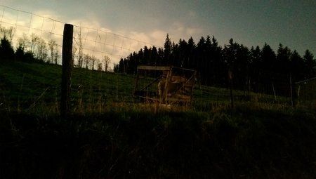 IMAG0271.jpg