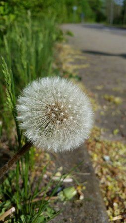 20140412_161843.jpg