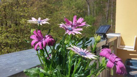 20140417_144456_HDR.jpg
