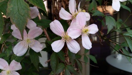 20140420_200533.jpg