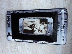 5576622658_51df35c4c6_m.jpg