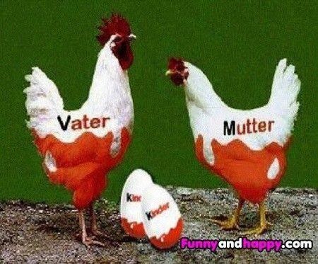 http___www.funnyandhappy.com_wp-content_uploads_2013_08_Funny-family-of-Kinder-Lustige-Familie-K.jp