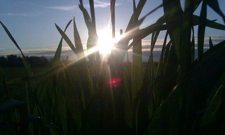 IMG-20140418-WA0023.jpg
