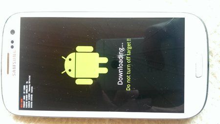 IMAG0073.jpg