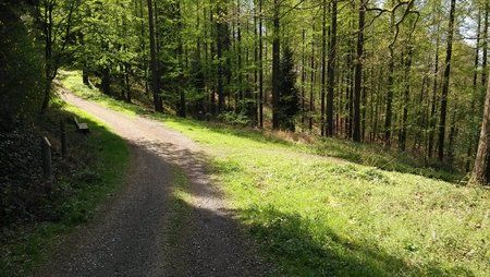2014-04-14 11.45.11.jpg