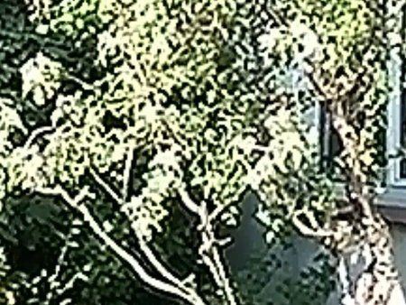 IMG_20140420_171928.jpg