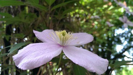 IMAG0078.jpg