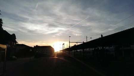 IMAG0199.jpg