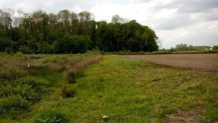 IMG_20140507_152143.jpg