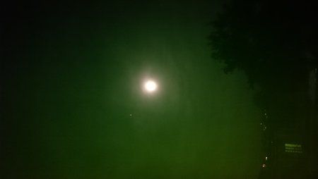 DSC_0028.JPG