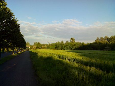 19 - Doogee10.jpg