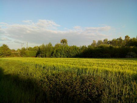 22 - Doogee13.jpg