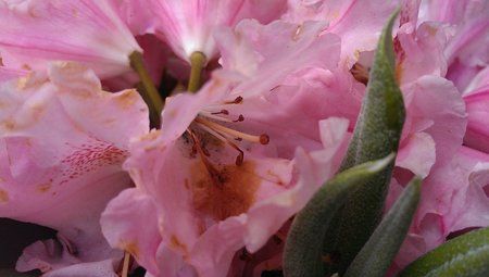 IMAG0026.jpg