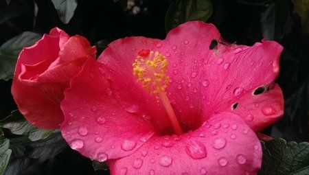 IMAG0031.jpg