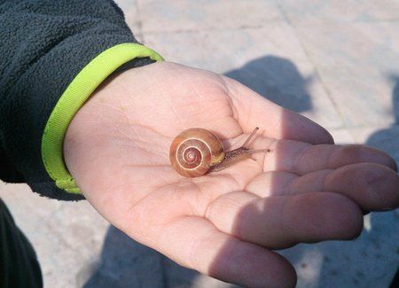 DSC_0103.jpg