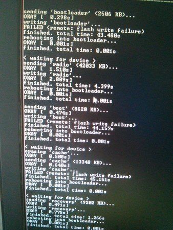10294428_711128965600534_7516090738135122439_n.jpg
