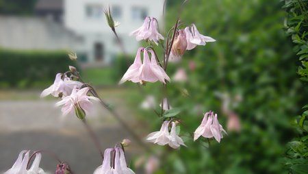 20140520_180143.jpg
