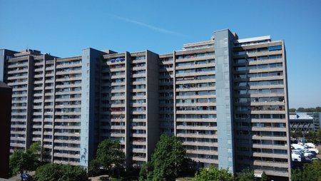 IMG_20140519_111037.jpg