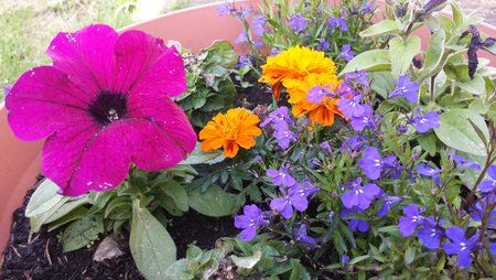 2014-05-24 18.48.23.jpg