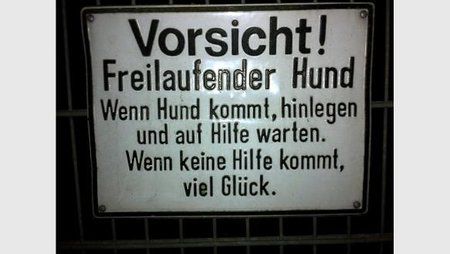 2,w=583,c=0.bild (17).jpg