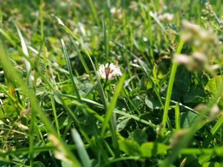 2014-05-25 16.01.24.jpg