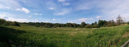 2014-05-25 16.45.34.jpg