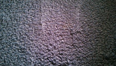 IMAG0032.jpg