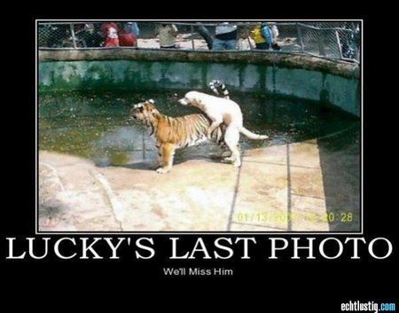 das-letzte-foto-von-lucky.jpg