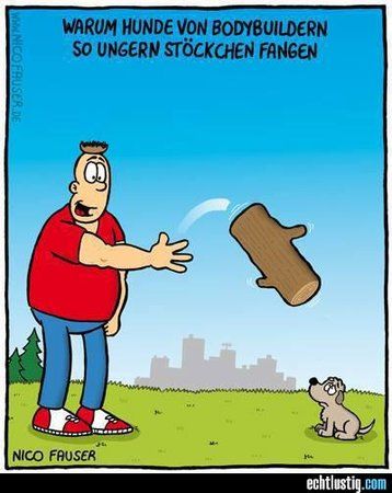 hunde-von-body-buildern.jpg