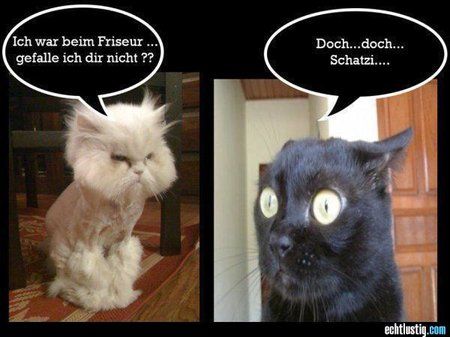 ich-war-beim-friseur-gefalle-ich-dir-nicht.jpg