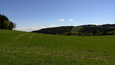 IMG_20140503_121333.jpg
