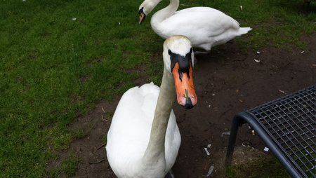 20140506_161940_1.jpg