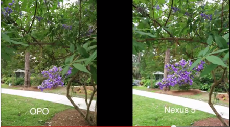 Nexus 5 vs OnePlus One 1.png