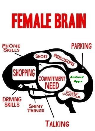 female-brain.jpg