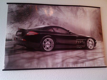IMG_20110410_122151.jpg