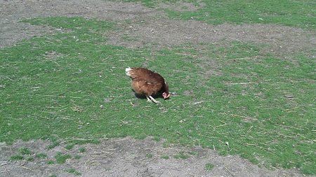 2011-04-02_15-48-58_78.jpg