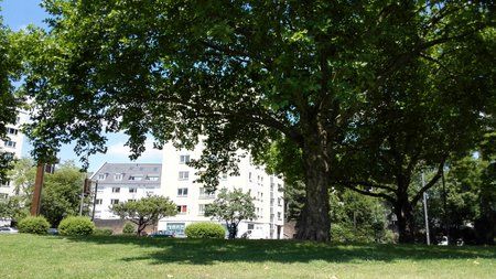 20140702_131044_Android.jpg