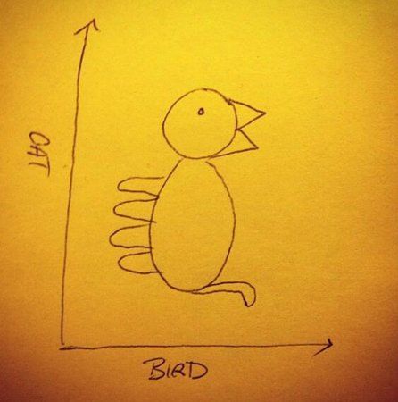 bird.jpg