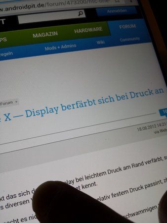 unverfärbtkleiner.jpg