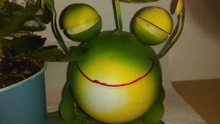 IMAG0012.jpg