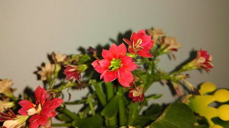 IMAG0011.jpg