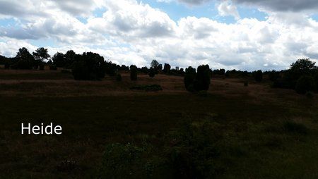20140621_152316.jpg