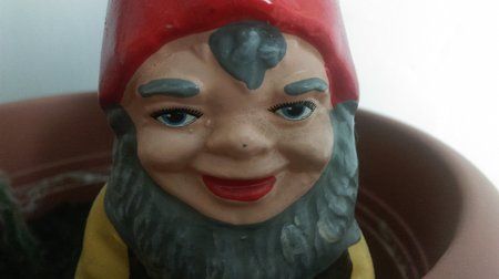 IMAG0052.jpg