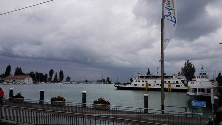 IMG_20140709_143240.jpg